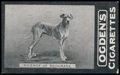 167 Viceroy of Redgrave